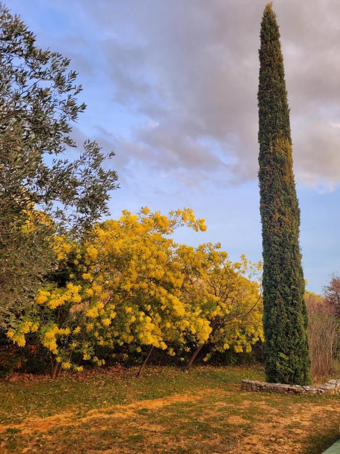 Casa vacanze Jolie Maison En Plein Cœur Du Lubéron Roussillon en Isere