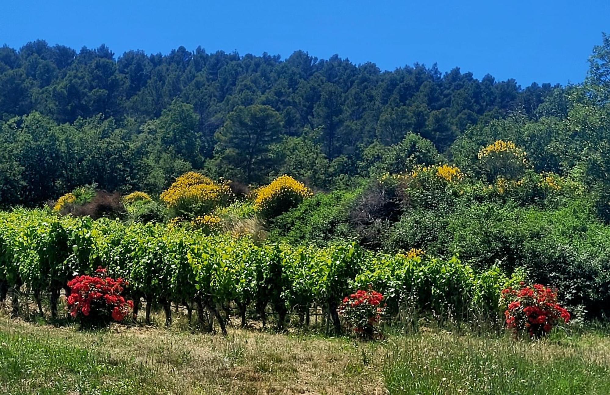 Hébergement de vacances Jolie Maison En Plein Cœur Du Lubéron *